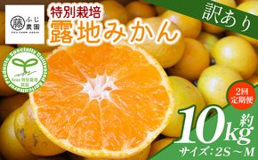 【2回定期便】みかん ふじ農園の露地みかん 訳あり品 10kg(2S～M) 5kg×2箱 計10kg 国産 小玉 蜜柑 ミカン 柑橘 果物 フルーツ 訳アリ ご家庭用 自宅用 ふじ農園 高知県 香南市 Wfn-0023