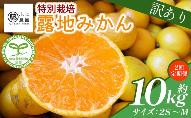 【2回定期便】みかん ふじ農園の露地みかん 訳あり品 10kg(2S～M) 5kg×2箱 計10kg 国産 小玉 蜜柑 ミカン 柑橘 果物 フルーツ 訳アリ ご家庭用 自宅用 ふじ農園 高知県 香南市 Wfn-0023