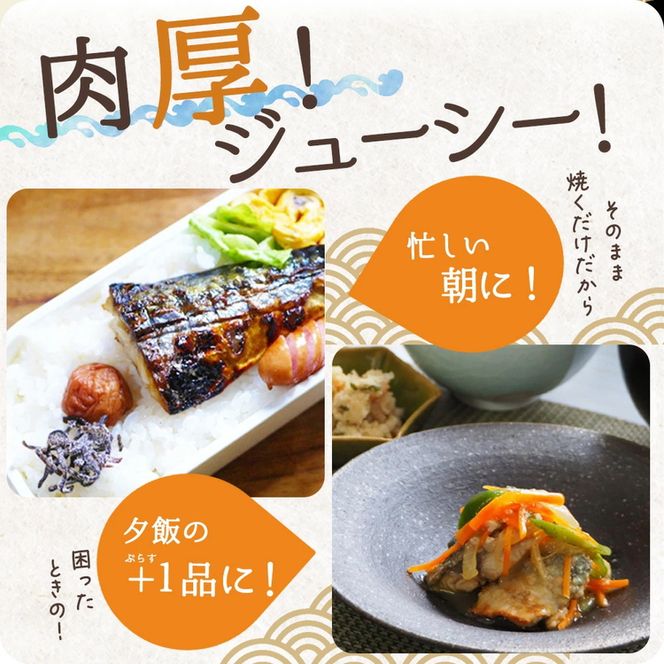 【ご家庭用　訳あり】無添加　塩さばフィレ　1kg
※着日指定不可