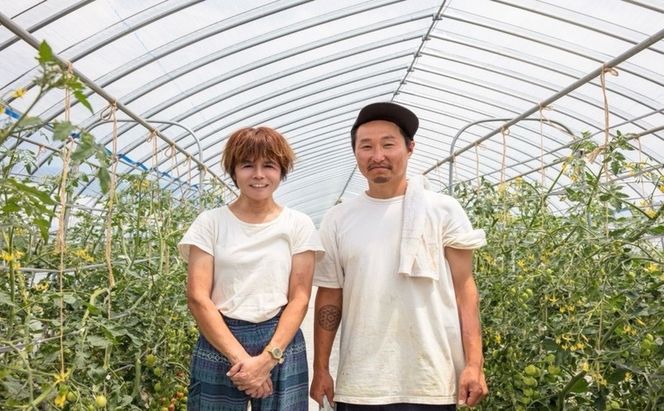 完熟 ミニトマト 100% ストレートジュース 北海道 富良野市 720ml×1本 トマトジュース トマト ジュース 濃厚 野菜 飲料 ソフトドリンク 瓶