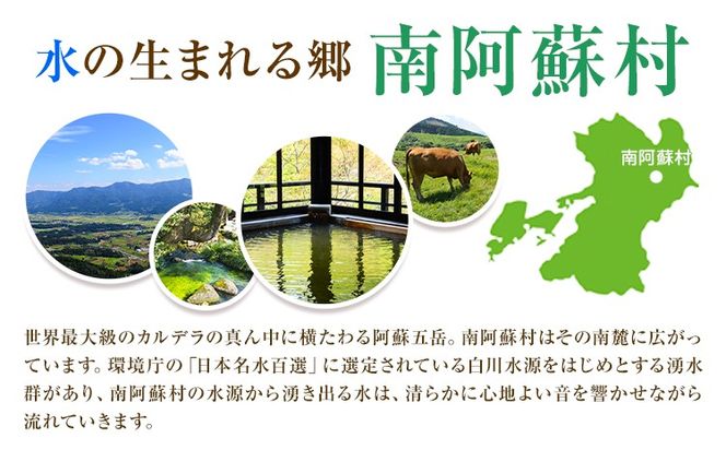 熊本県 南阿蘇村 日本旅行 地域限定旅行クーポン 90,000円《寄付翌月末を目途に付与いたします》---isms_nhnrk_60d_r7_300000_9man---