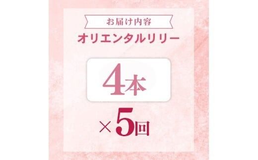 定期便5回 ユリ オリエンタルリリー 4本 花 切り花 プレゼント 贈り物 ギフト 誕生日 記念日 つぼみ 大輪 ピンク 白 香り 優雅 華麗 ブーケ フラワーアレンジメント 観賞用 インテリア 季節の花 高級感 花束 生花 福田園芸 オリエンタルハイブリッド 安芸市 高知県
