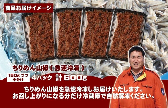 G2184t 【お中元対応】ちりめん山椒しらす 600g【小分け 150g×4P シラス しらす sirasu 海鮮 人気 おすすめ 産地直送】