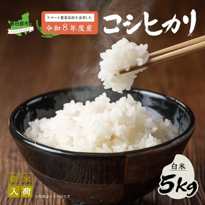 スマート農業技術を活用した 令和８年産 コシヒカリ（白米）　５キロ【埼玉県 春日部市 ふるさと納税 国産 精米 主食 家庭用 お取り寄せ 贈答用 ごはん】（BN047）