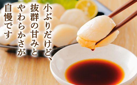 北海道噴火湾湾口産 ほたて お刺身用 ほたて貝柱 600g (200g×3袋) 2年貝