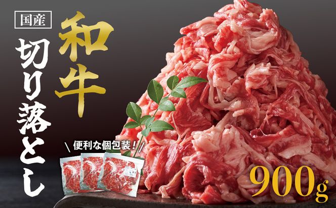 y蒬zYa؂藎Ƃ900 464686_SA111