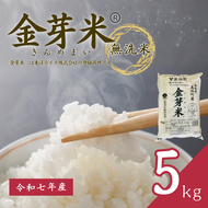 【 金芽米 】愛知県 美浜町産 にじのきらめき 5kg 無洗米｜きんめまい 米 お米 美浜町 糖質オフ BG無洗米 新米※北海道・沖縄・離島への配送不可
