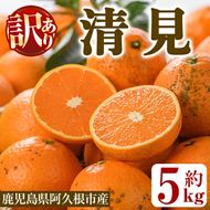 ＜先行予約受付中！2027年2月以降順次発送予定＞訳あり 清見(約5kg) 国産 鹿児島県 阿久根市 果実 果物 フルーツ 柑橘 みかん ミカン きよみ 訳アリ 期間限定 数量限定 【桐野柑橘株式会社】akn070-20