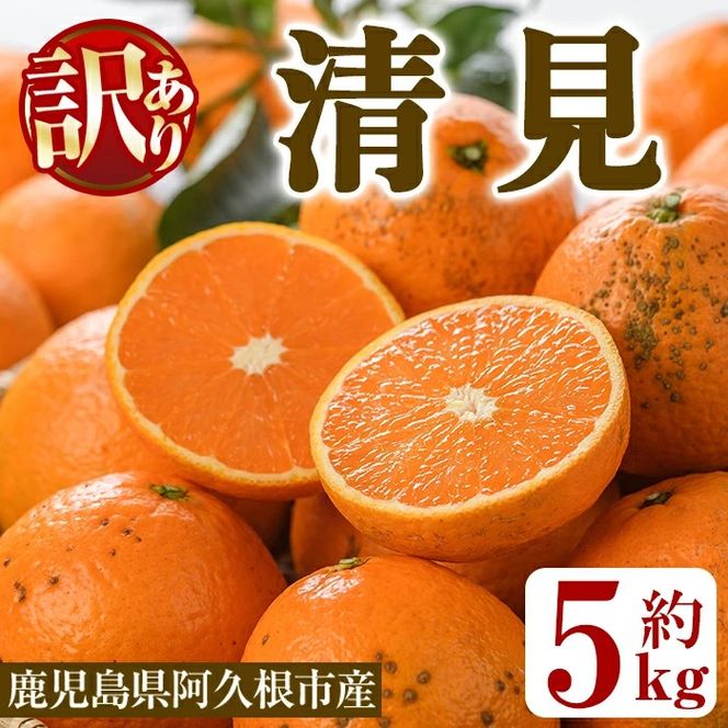 ＜先行予約受付中！2027年2月以降順次発送予定＞訳あり 清見(約5kg) 国産 鹿児島県 阿久根市 果実 果物 フルーツ 柑橘 みかん ミカン きよみ 訳アリ 期間限定 数量限定 【桐野柑橘株式会社】akn070-20