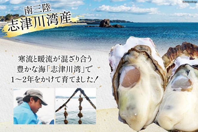 【期間限定発送】 牡蠣 南三陸志津川産 殻付き牡蠣 5.5kg 30個前後 [南三陸牡蠣倶楽部 宮城県 南三陸町 30ao0002] カキ かき 生牡蠣 魚貝類 生牡蠣 貝 海鮮 魚介類 オイスター カキフライ カキ鍋 アヒージョ 魚介 期間限定 冷蔵 新鮮 濃厚