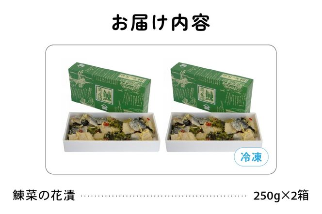 【井原水産】鰊菜の花漬250g×2　にしん　菜の花　漬物　お酒のつまみ　甘酢漬　数の子