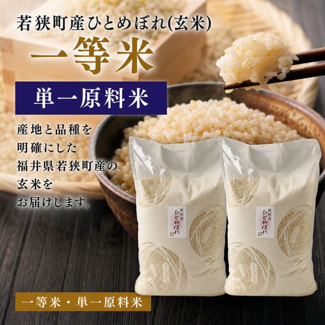 令和8年産福井県若狭町ひとめぼれ（一等米）玄米 10kg（神谷農園） 5kg×2袋 お米 ブランド米 銘柄米 ご飯 おにぎり お弁当 産地直送 和食 主食