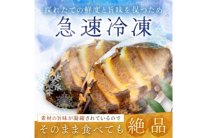 やわらか！絶品！アワビ酒蒸し 2枚入り　アワビステーキ アワビのお刺身 海鮮 魚介 魚介類 鮑 あわび 蝦夷鮑 蝦夷あわび 身厚 厳選 柔らかい 極上品 アワビ 鮑　YK00258