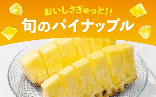 旬の美味しいパイン！美味しさはそのまま！ 見た目により訳ありでご提供 【訳あり】 石垣島産パイナップル 約4kg (3～10個 ) 《2026年4月下旬発送》【ふるさと納税 パイナップル 産地直送 フルーツ 果物 パイン 石垣 沖縄 沖縄県石垣市 石垣島】 KP-15