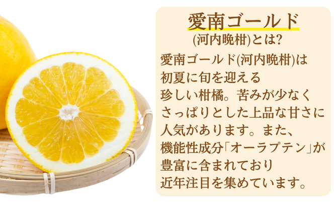 愛南ゴールド 入り 甘酒 ( 150g × 8 本 ) 10000円 あまざけ あま酒 河内晩柑 米 パウチ 150g 持ち運び 片手 手軽 夏バテ 冷え 冷え性 栄養 栄養補給 発酵食品 健康 アミノ酸 ビタミン 美容 美容効果  おいしい 爽やか スッキリ すっきり プレゼント 贈答 贈答用 ダイエット 美肌 美髪 便秘 愛南 無添加 愛南町 愛なんよ