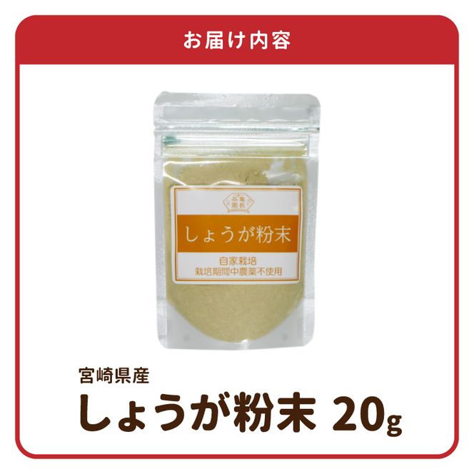 しょうが 粉末 N048-YA0494