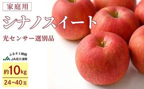 【先行予約】令和8年度産 訳あり りんご シナノスイート 約10kg 24～40玉入 家庭用 フルーツ 果物 甘い 訳あり おいしい 林檎