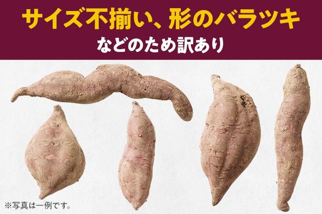 訳あり 熟成 紅はるか 5kg さつまいも 芋 サツマイモ 土付き サイズ色々 サイズ不揃い 九州産 焼き芋 やきいも 甘い デザート スイートポテト 生芋 おやつ デザート 野菜 いも【2024年12月以降順次発送】