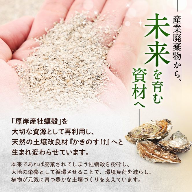 土壌改良材 かきのすけ 1.7kg×3袋 (合計5.1kg) 【村上石材工業】[ カキ殻石灰 有機石灰 牡蠣の殻 酸性土壌を中和 ミネラル豊富 肥料 園芸 家庭菜園 野菜 花 木 ] 