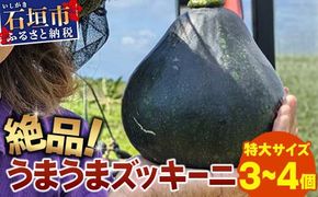 希少！「絶品うまうまズッキーニ」特大サイズ3～4個 贈答用にも！農薬を使わず、特許製法のシリカ水で栽培する特別な野菜【 産地直送 沖縄県 石垣島産 丸ズッキーニ だるまズッキーニ 野菜 】OI-18