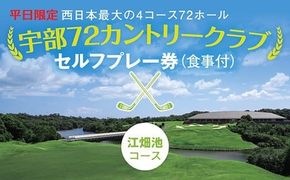C111 【平日限定】セルフプレー券（江畑池コース・食事付）