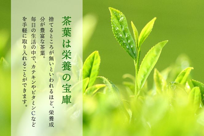 SOU・SOU菊づくし茶器セット〈お茶 茶 煎茶 緑茶 茶葉 宇治抹茶 深蒸し茶 こいまろ茶 コラボ 急須 耐熱ガラス 飲料 加工食品 工芸品 日用品〉 食器 