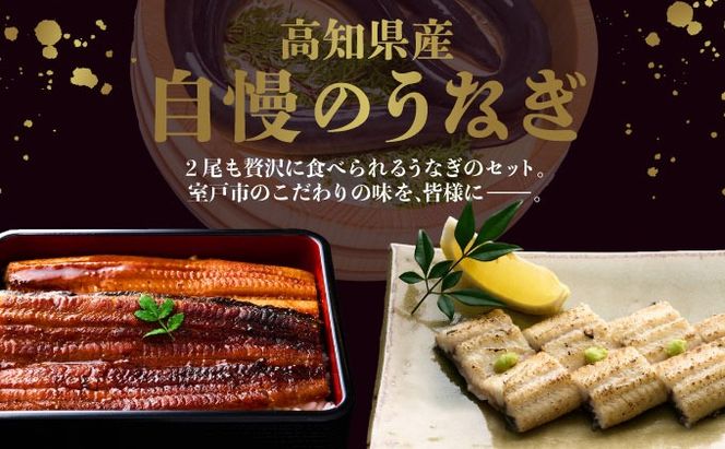 うなぎ蒲焼き・白焼きを交互にお届け！国産うなぎ２尾【全６回定期便】_ うなぎ 鰻 ウナギ 2尾 国産 高知県産 蒲焼き 白焼き かばやき 冷凍 うな重 ひつまぶし タレ ランキング 人気 6回 定期便 [yj059]!