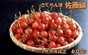 先行受付 北海道 仁木町産  さくらんぼ 佐藤錦 600g（300g×2パック）Lサイズ以上 旬の果物 産地直送 サクランボ チェリー フルーツ 果物 果物類  仁木町 仁木 [JA新おたる]