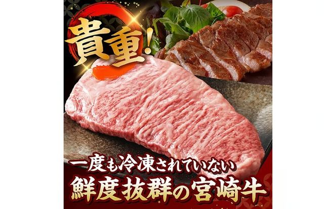 ※グラムが選べる※【A5等級】【新鮮チルド便】宮崎牛特選サーロインステーキ 【 肉 宮崎 ステーキ 牛肉 おかず A5 】 [B13204 B13205 B13206]
