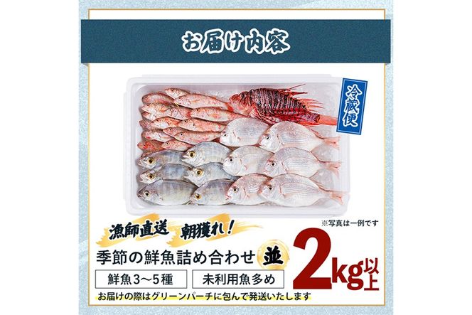 【北海道・離島配送不可】漁師直送！朝獲れ 季節の 鮮魚 詰め合わせ (並) (合計2kg以上・3～5種) 下処理済み 大衆魚 高級魚 未利用魚 冷蔵 BOX ボックス イカ 鯛 海鮮 魚介 食べ比べ 詰合せ 宮崎県産 【O-10】【門川漁業協同組合】