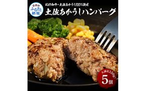 【CF-R7hbk】SKS035　“土佐あかうし100％”土佐あかうしハンバーグ150g×5コ