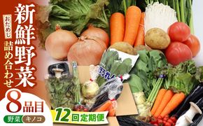 【12回定期便】お試し野菜セット 8品目 詰め合わせ / 野菜 やさい ヤサイ 旬 新鮮 / 南島原市 / 吉岡青果[SCZ030]
