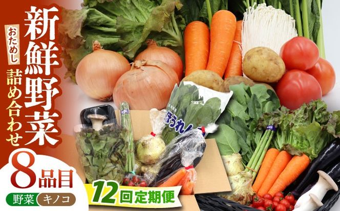 【12回定期便】お試し野菜セット 8品目 詰め合わせ / 野菜 やさい ヤサイ 旬 新鮮 / 南島原市 / 吉岡青果[SCZ030]