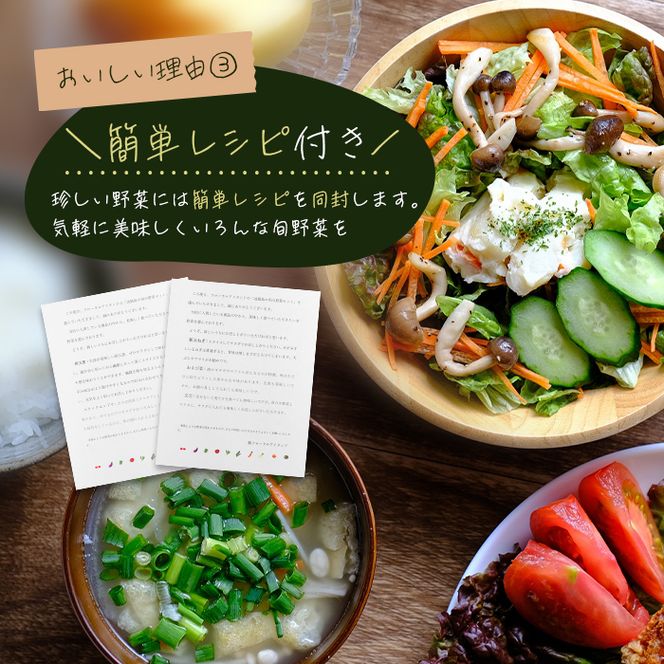 淡路島の旬の野菜セット（10～15種類程度）　野菜詰め合わせ
