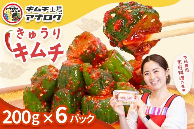 熟成秘伝のオイ(きゅうり)キムチ(200g×6パック)【きゅうりキムチ 発酵キムチ 本格キムチ 国産手作り ご飯のお供 国産きゅうり 九州産 旨辛 特製ダレ】(H104202)