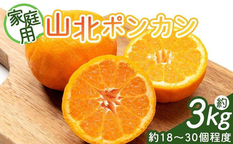 山北ポンカン 家庭用 3kg(約18〜30個程度) - 果物 フルーツ 柑橘類 ぽんかん ミカン 蜜柑 訳アリ わけあり 生産者応援 甘い おいしい 美味しい 山北みらい yk-0055