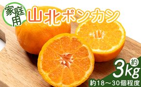 山北ポンカン 家庭用 3kg(約18～30個程度) - 果物 フルーツ 柑橘類 ぽんかん ミカン 蜜柑 訳アリ わけあり 生産者応援 甘い おいしい 美味しい 山北みらい yk-0068