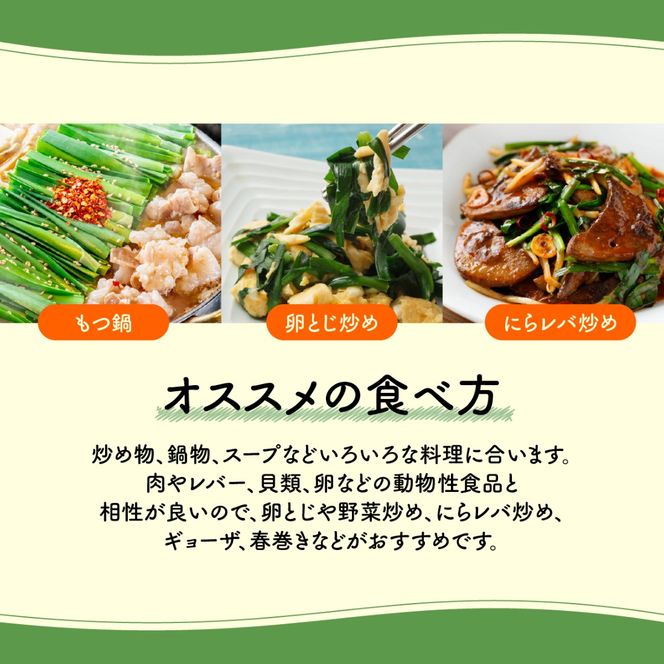 【先行予約】【11月から発送】肉厚・シャキシャキ! 朝採れ鮮度抜群! 布施さん家のニラ 1kg(100g×10束) SMBY001