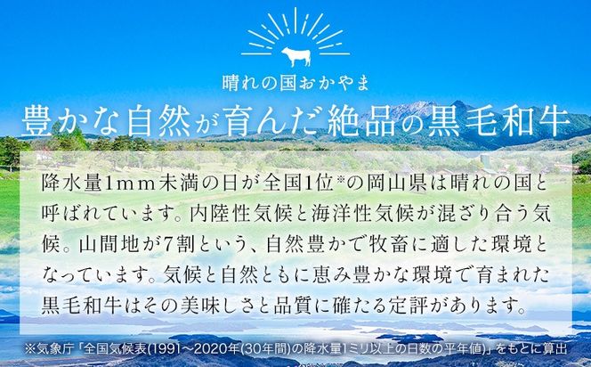 リブ or サーロイン ステーキ 500g 1000g 1500g 数量限定 牛肉 冷凍 黒毛和牛 《30日以内に出荷予定(土日祝除く)》 個別 取分け 小分け 個包装 赤身 霜降り 岡山県 笠岡市 牛 牛肉 和牛 ステーキ グルメ 小分け 小分けパック 250g 送料無料---kasaoka_zsy_51_5---