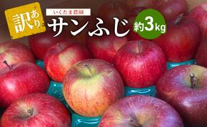 【2026年 11月～発送】りんご 訳あり サンふじ 約 3kg フルーツ 果物 旬 不揃い 先行予約