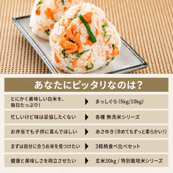 先行予約 令和8年産 まっしぐら 白米 10kg(5kg×2) [H.GREENWORK] 青森県 鰺ヶ沢産 / お米 精米 こめ おこめ ごはん 津軽