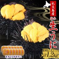 北海道 礼文島産 ミョウバン不使用 塩水ウニ キタムラサキウニ 100g×12パック［野崎水産］【 うに ウニ 雲丹 生うに 塩水うに ムラサキウニ 素材本来の味 海鮮 うに丼 濃厚 甘み 産地直送 】