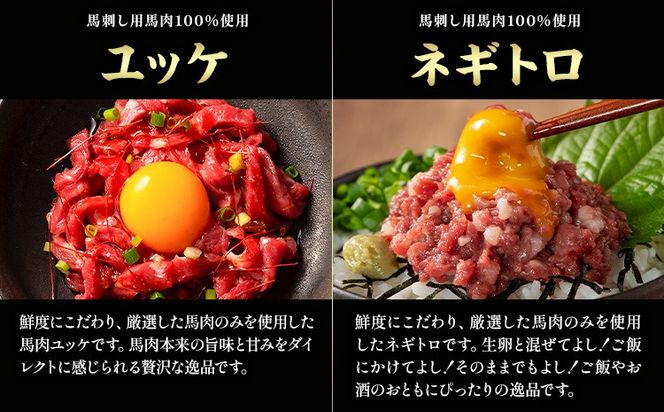 本場 熊本特産 ふじ馬刺し上級赤身 3種 と ユッケ ネギトロ の 詰め合わせ 道の駅竜北《30日以内に出荷予定(土日祝除く)》 熊本県 氷川町 肉 馬肉 国産 赤身 上赤身 ロース ランプ ユッケ ネギトロ 馬肉 赤身 ふじ馬刺し セット 食べ比べ---sh_fyekabyknt_25_30d_34000_390g---