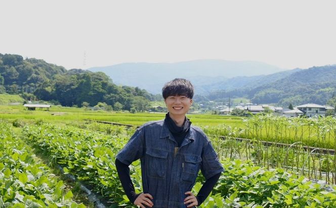 【令和9年1月より順次出荷】京都府産　干し芋(紅はるか) 150g×4袋　さつまいも サツマイモ 紅はるか ねっとり 自家栽培 宮津市 京都府　栽培期間中農薬・化学肥料・除草剤不使用