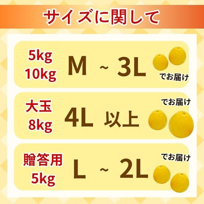 先行予約 2026年発送 愛南ゴールド（河内晩柑）大玉 約8kg みかん 蜜柑 河内晩柑 グレープフルーツ 柑橘 果物 フルーツ 前田ファーム 愛媛 愛南 【発送期間 3月下旬～5月上旬 】(なくなり次第終了)