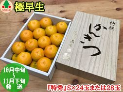 極早生 有田 みかん 化粧箱 小箱 特秀 S サイズ 24玉または28玉入 南泰園 和歌山 有田みかん BS607
