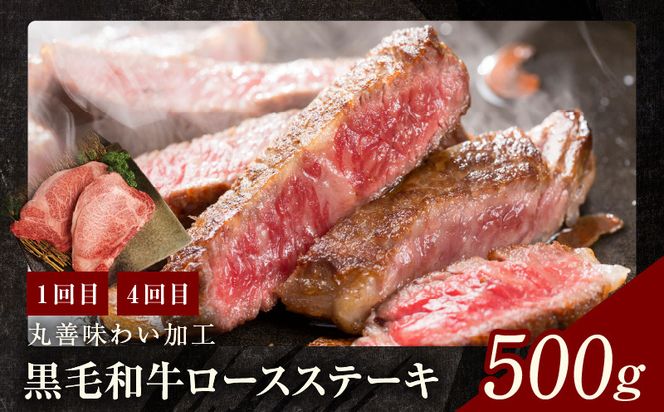 mrzZ004 黒毛和牛 定期便 全6回 （ステーキ／焼肉／すき焼き・しゃぶしゃぶ） 12万円コース 丸善味わい加工【毎月配送コース】