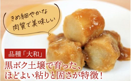 【先行予約】さといも 大和里芋（やまと）3kg【2026年11月中旬より順次発送予定】| 野菜 芋 イモ 根菜 いも 煮物 旬 味覚 秋