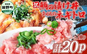 ～四国一小さなまち～ 訳あり 鯛の漬け丼＆マグロのネギトロ 各10P 計20P タイ たい まぐろ 鮪 海鮮丼 ねぎとろ まぐろたたき 粗挽き ねぎとろ丼 ネギトロ丼 魚介 惣菜 おかず 訳アリ