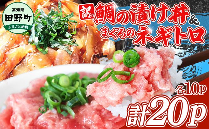 ～四国一小さなまち～ 訳あり 鯛の漬け丼＆マグロのネギトロ 各10P 計20P タイ たい まぐろ 鮪 海鮮丼 ねぎとろ まぐろたたき 粗挽き ねぎとろ丼 ネギトロ丼 魚介 惣菜 おかず 訳アリ